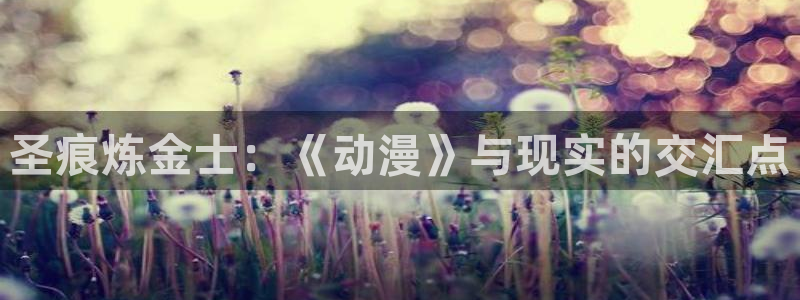 虫虫漫画完结大全：圣痕炼金士：《动漫》与现实的交汇点配图