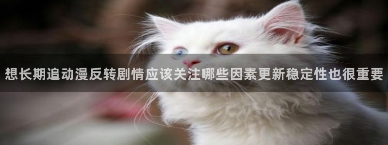 虫虫漫画手机在线:想长期追动漫反转剧情应该关注哪些因素更新稳定性也很重要配图