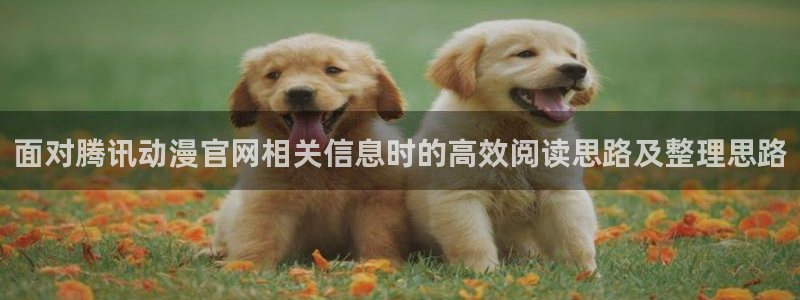 虫虫漫画高分榜:面对腾讯动漫官网相关信息时的高效阅读思路及整理思路配图