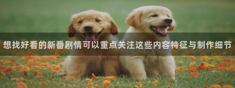 虫虫漫画每日更新:想找好看的新番剧情可以重点关注这些内容特征与制作细节配图