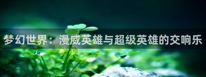 虫虫漫画全部章节:梦幻世界:漫威英雄与超级英雄的交响乐配图
