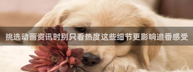 虫虫漫画最新更新：挑选动画资讯时别只看热度这些细节更影响追番感受配图